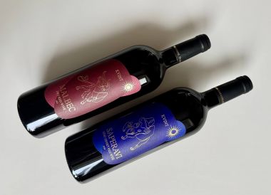 NEW WINES MALBEC AND SAPERAVI